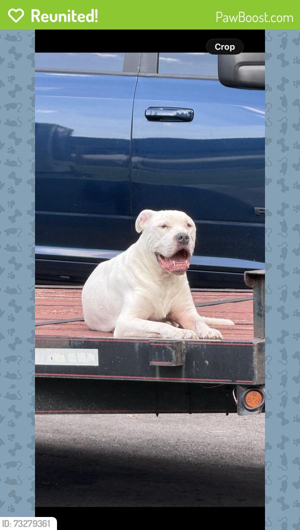 Reunited Male Dog last seen North Miller Rd & Washington Rd Valrico, Valrico, FL 33594