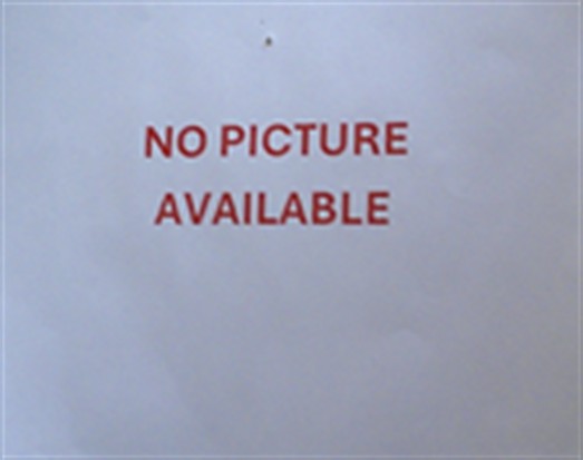 Shelter Stray Male Cat last seen SUGARBERRY TRL, OVIEDO, 232 Eslinger Way, Sanford, FL 32773, USA