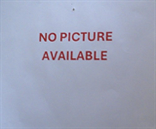 Shelter Stray Female Cat last seen SUGARBERRY TRL, OVIEDO, 232 Eslinger Way, Sanford, FL 32773, USA