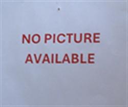 Shelter Stray Female Cat last seen SUGARBERRY TRL, OVIEDO, 232 Eslinger Way, Sanford, FL 32773, USA