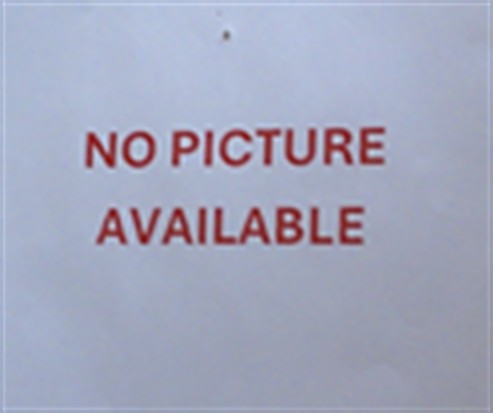Shelter Stray Female Cat last seen SUGARBERRY TRL, OVIEDO, 232 Eslinger Way, Sanford, FL 32773, USA