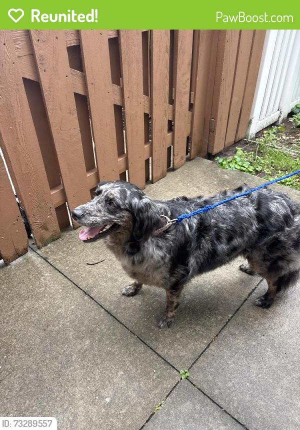 Reunited Unknown Dog last seen Yale place, Wauwatosa, WI 53213