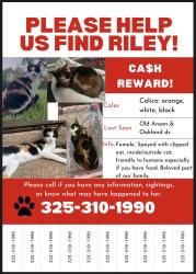 Lost Female Cat last seen Old anson & oakland dr, Abilene, TX 79603