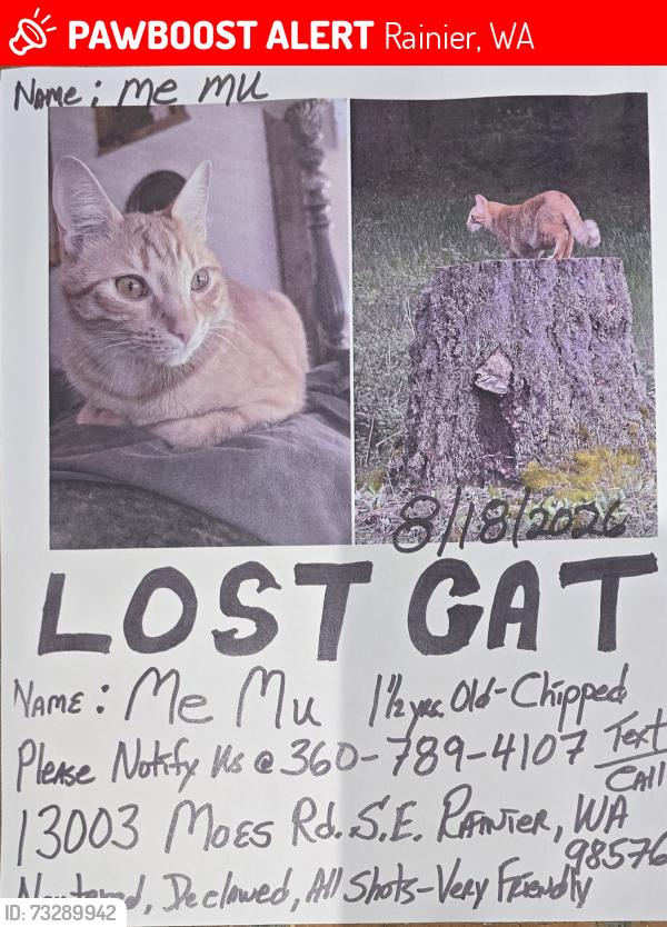 Lost Male Cat last seen Moes Rd SE and 133 Ave SE, Rainier, WA 98576