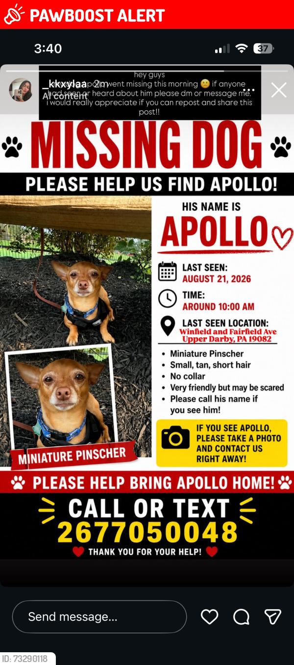 Found/Stray Male Dog last seen Fairfield ave & Winfield ave, Upper Darby Township, PA 19082