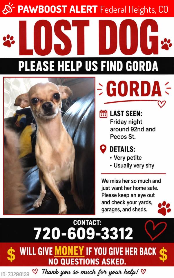 Lost Female Dog last seen 92nd and pecos, Federal Heights, CO 80260
