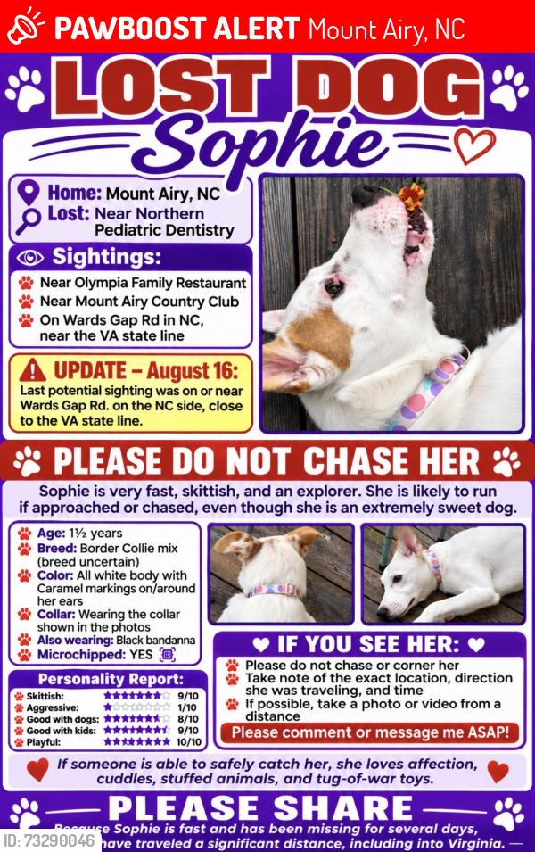 Lost Female Dog last seen Wards Gap Rd in NC near VA state line, Mount Airy, NC 27030