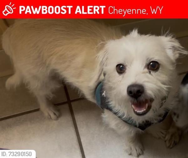 Lost Male Dog last seen North Cheyenne Community Park, Cheyenne, WY 82009