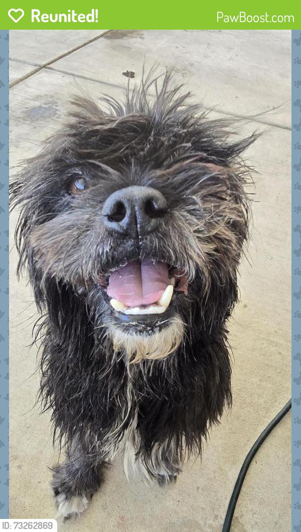 Reunited Male Dog last seen In front of March Mountain High School, Moreno Valley, CA 92553