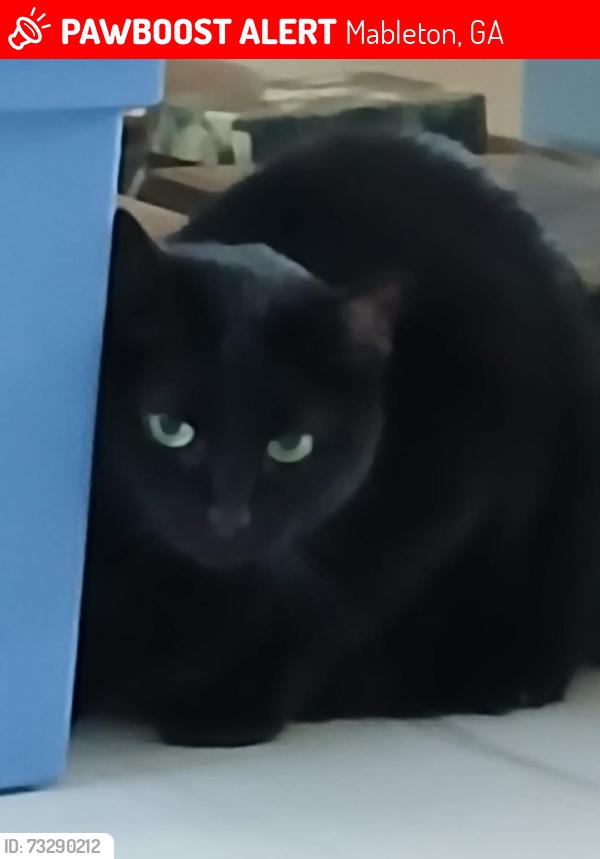 Lost Male Cat last seen in Woodstock, GA, Mableton, GA 30126