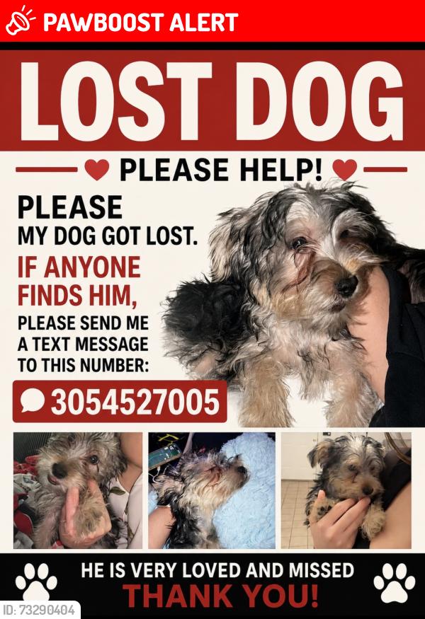 Lost Male Dog last seen Near S fair ave Batesburg leesville sc 29006, Batesburg-Leesville, SC 29006