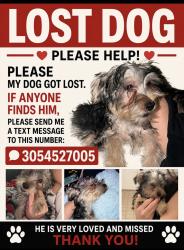 Lost Male Dog last seen Near S fair ave Batesburg leesville sc 29006, Batesburg-Leesville, SC 29006