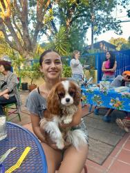 Reunited Male Dog last seen McGee street, north berkeley, Berkeley, CA 94703