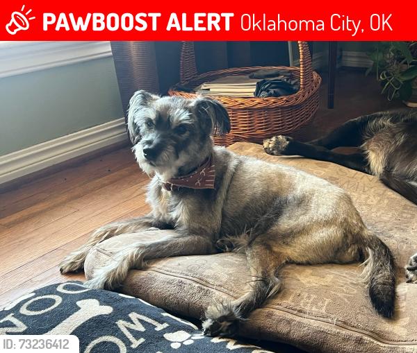Lost Male Dog last seen Near the corner of Warwick Dr. OKC, OK 73116, Oklahoma City, OK 73116