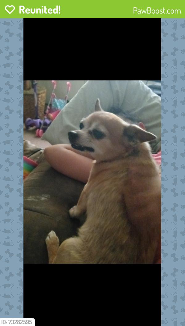 Reunited Female Dog last seen 2nd St, 3rd St, Hanover St, Baltimore, MD 21225