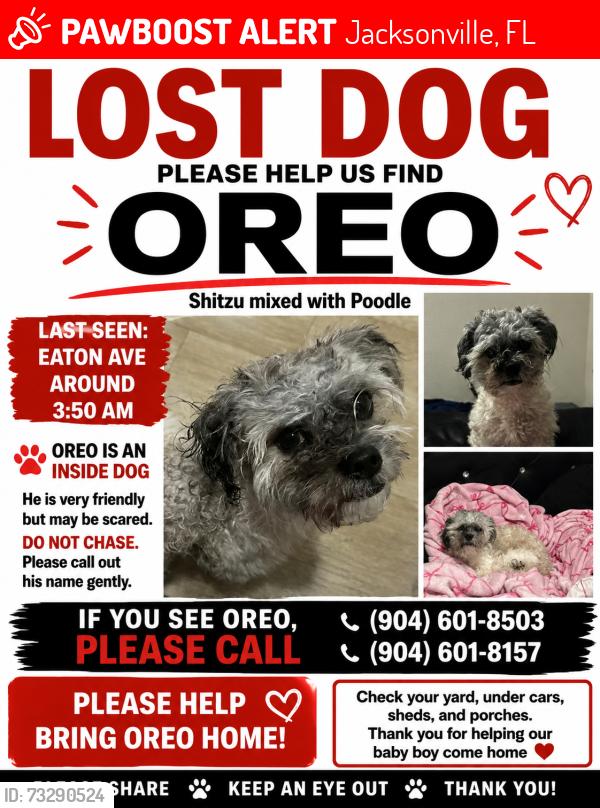 Lost Male Dog last seen Arlington rd N, Jacksonville, FL 32211