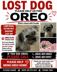 Lost Male Dog last seen Arlington rd N, Jacksonville, FL 32211