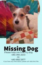 Lost Male Dog last seen Mckillips, Scottsdale, AZ 85257