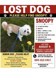 Lost Male Dog last seen Hudson Street & Park Drive, Vancouver, BC 