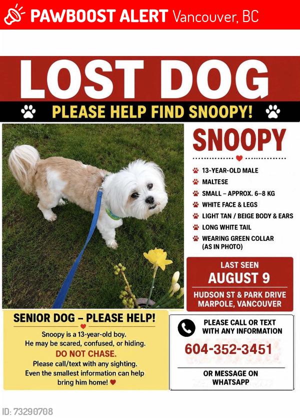 Lost Male Dog last seen Hudson Street & Park Drive, Vancouver, BC 