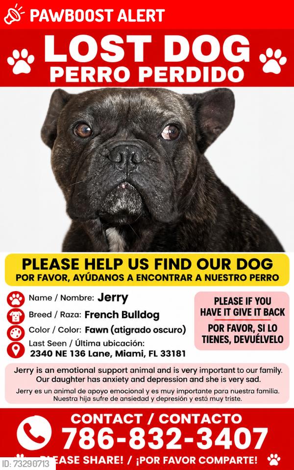 Lost Male Dog last seen trailer park, North Miami Beach, FL 33181