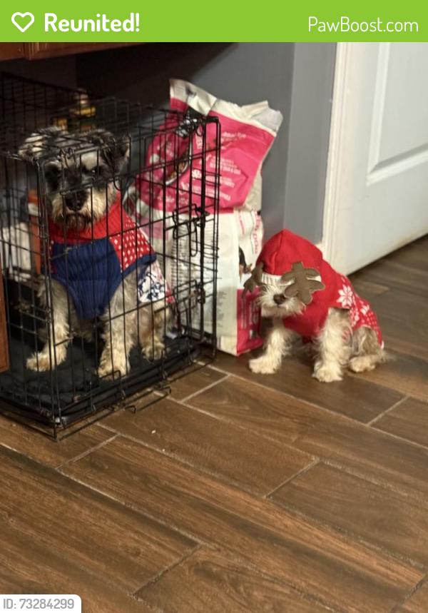 Reunited Male Dog last seen Azalea dr, Winston-Salem, NC 27105