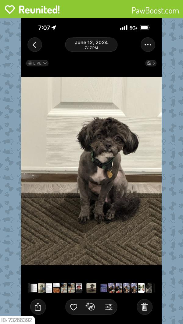 Reunited Male Dog last seen Pleasant null circle, Forney, TX 75126