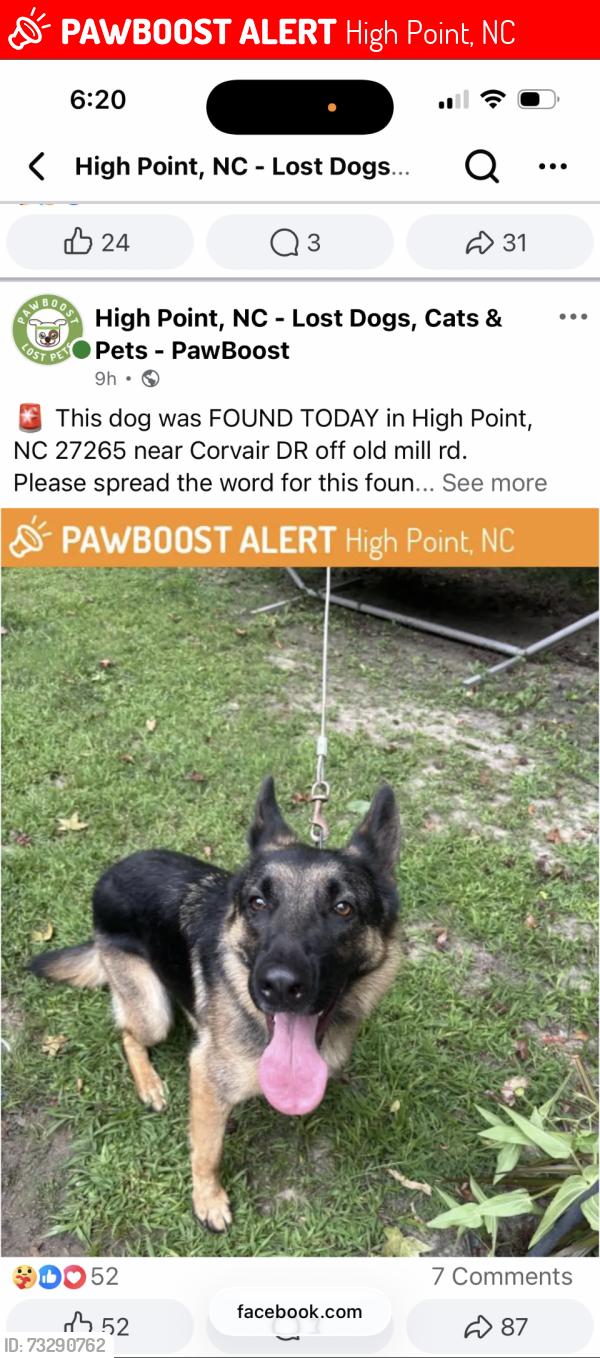 Lost Male Dog last seen Corsair, High Point, NC 27265