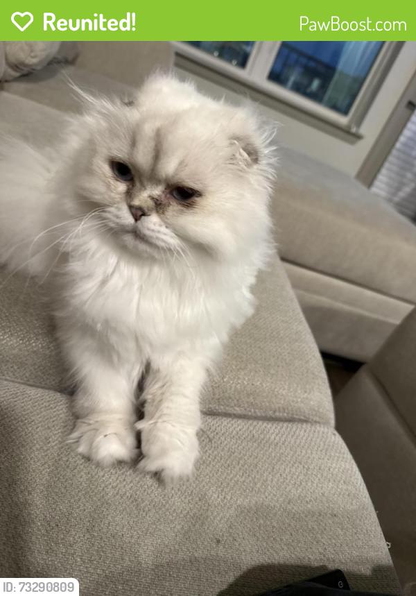 Reunited Male Cat last seen Near Madrone Ln, Princeton, TX 75407, USA, Princeton, TX 75407