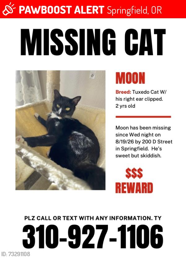 Lost Male Cat last seen water street, Springfield, OR 97477