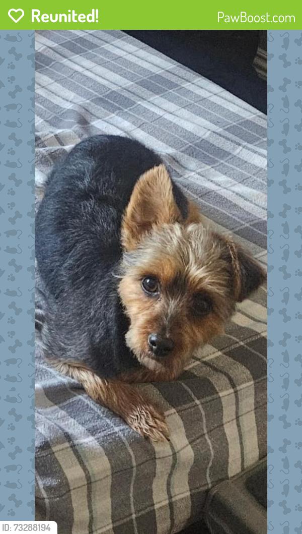 Reunited Male Dog last seen Clavelita St, San Diego, CA 92154