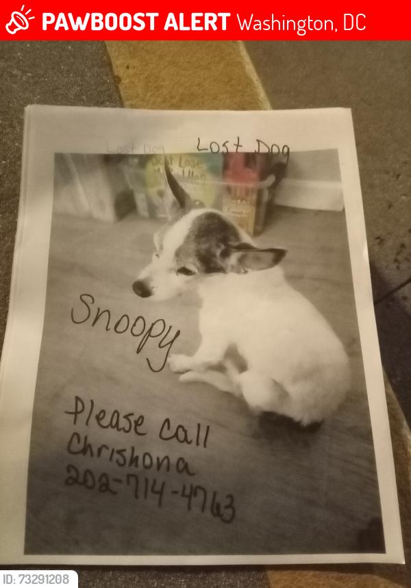 Lost Male Dog last seen 18th Street and Anacostia library, Washington, DC 20020