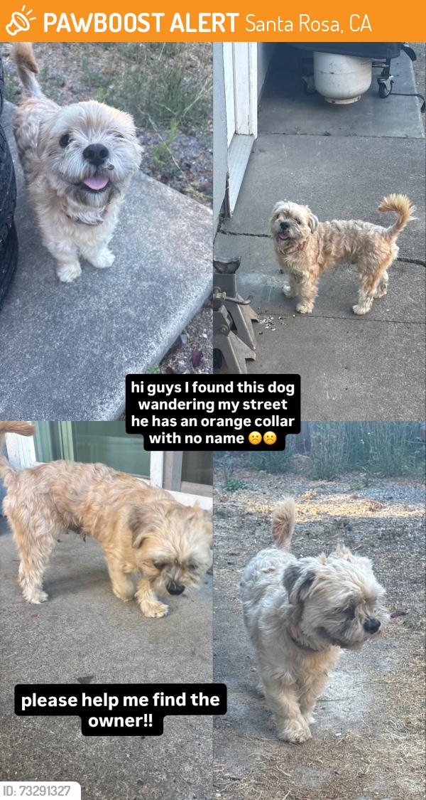 Found/Stray Male Dog last seen coddingtown, Santa Rosa, CA 95401