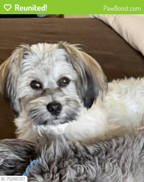 Reunited Female Dog last seen Ocean beach dog beach, San Diego, CA 92107