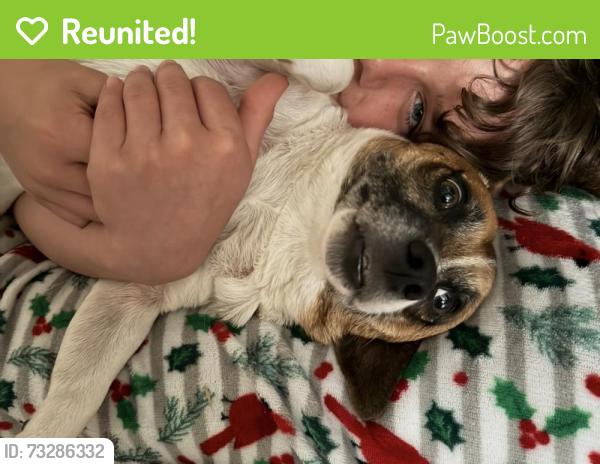 Reunited Male Dog last seen Near NE 54th Street, Ocala, FL 34479