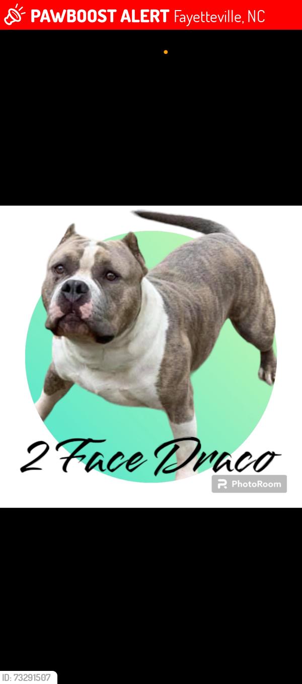 Lost Male Dog last seen Cedar Creek Rd., Fayetteville, NC 28305