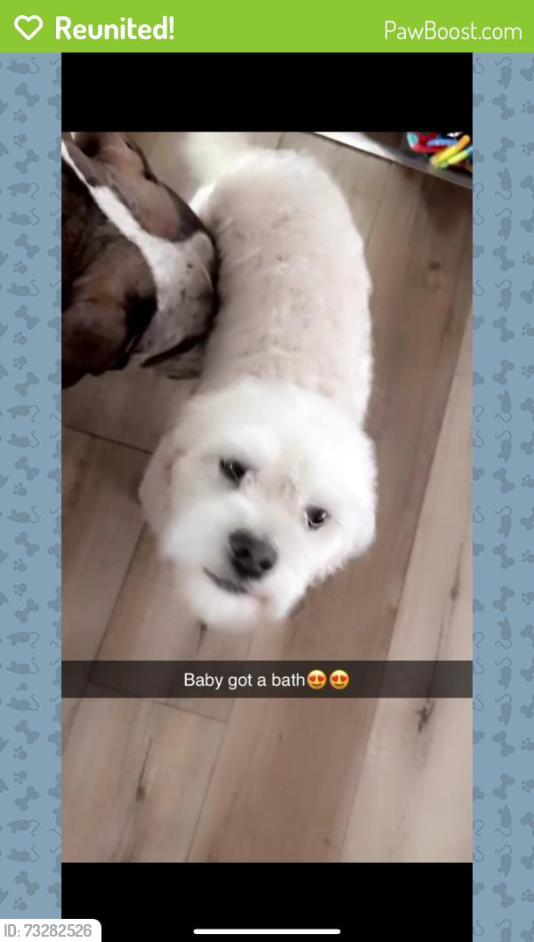 Reunited Male Dog last seen 19th and 54th Ave, Kenosha, WI 53140
