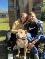 Reunited Female Dog last seen 5th St and Mckeage ave, Hoyt Ks, Hoyt, KS 66440