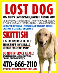 Lost Female Dog last seen Berkeley Lake - BUT on the run, Duluth, GA 30098