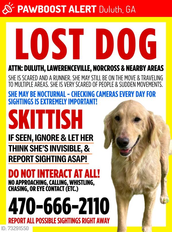 Lost Female Dog last seen Berkeley Lake - BUT on the run, Duluth, GA 30098