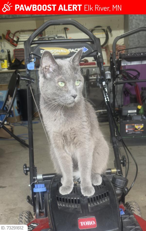 Lost Male Cat last seen Elk River Golf Club, Elk River, MN 55330