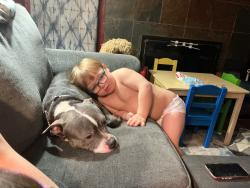 Reunited Male Dog last seen Knowledge st, Dayton, OH 45404