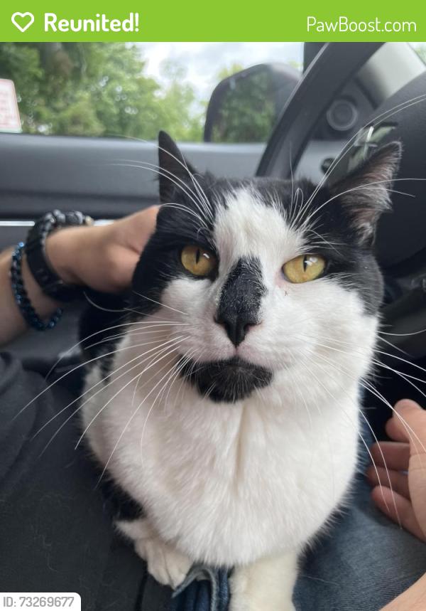 Reunited Male Cat last seen Fire Dept Vista NY, Lewisboro, NY 10590