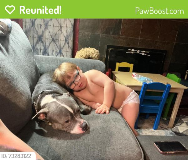 Reunited Male Dog last seen Knowledge st, Dayton, OH 45404