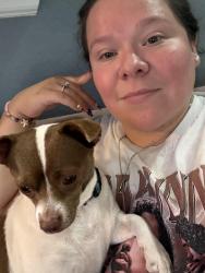 Lost Female Dog last seen Aransas and Meerscheidt, San Antonio, TX 78210