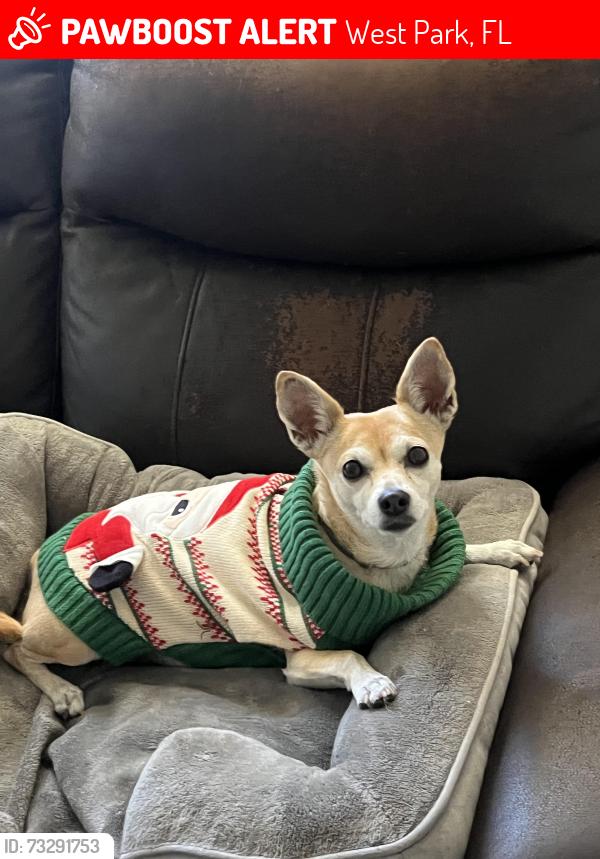 Lost Female Dog last seen 23rd street in west park Florida, West Park, FL 33023