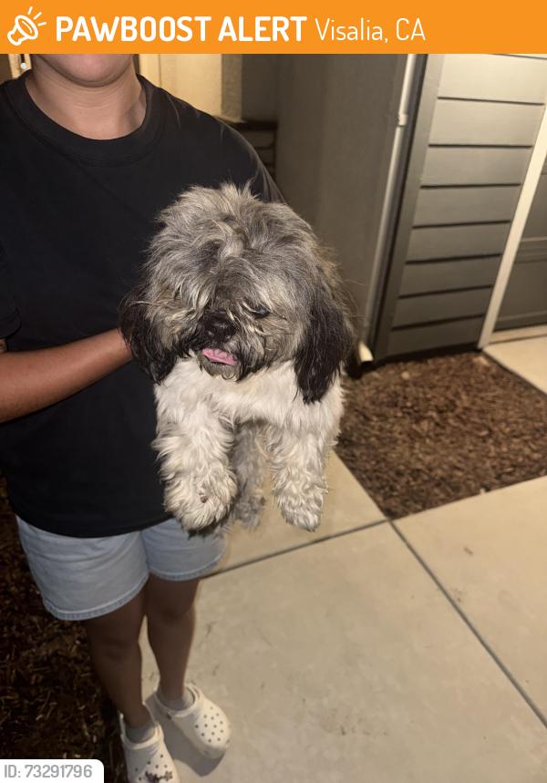 Found/Stray Male Dog last seen River island ranch area, Visalia, CA 93291