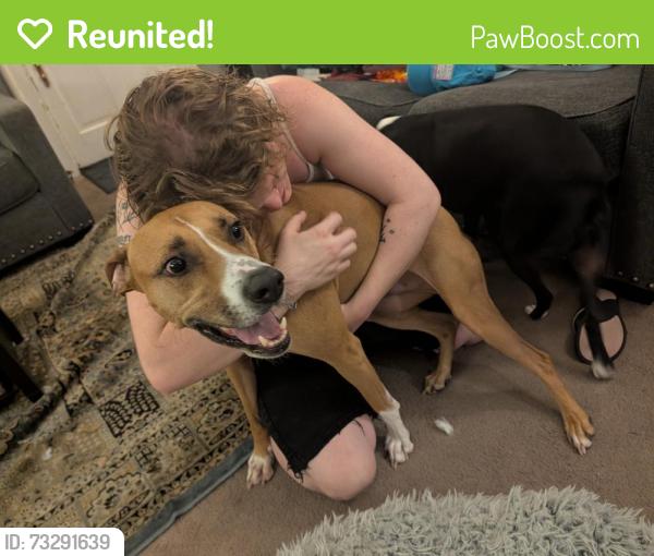 Reunited Male Dog last seen Sycamore & Dorchester, near Christ hosp, Cincinnati, OH 45202