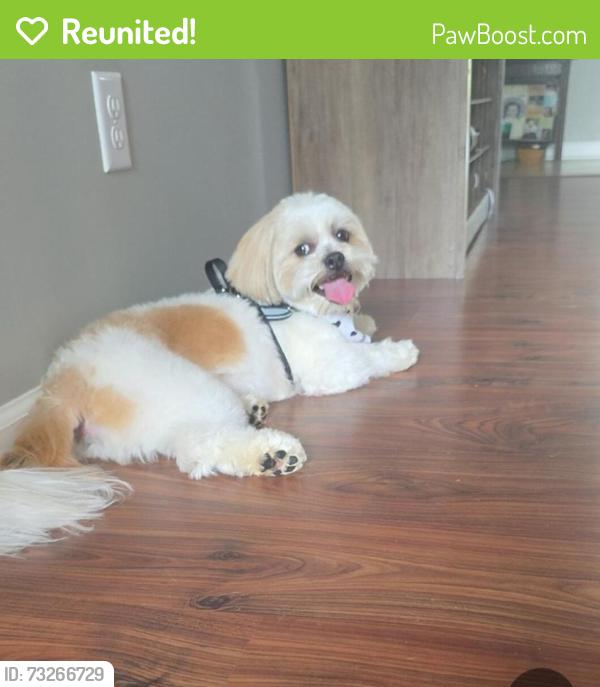 Reunited Male Dog last seen Stonewood Crossing, Valley Falls, SC 29316