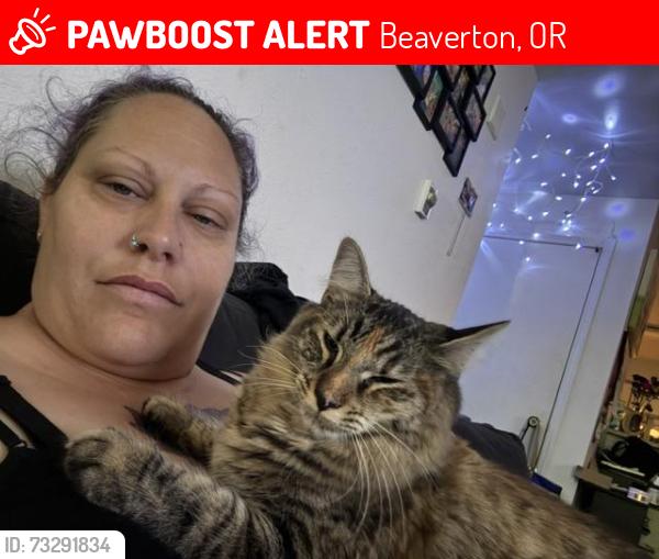 Lost Female Cat last seen 163rd and baseline, Beaverton, OR 97006